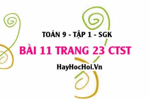 Bài 11 trang 23 Toán 9 tập 1 Chân trời sáng tạo SGK
